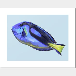 Blue Tang Watercolor Fish Posters and Art